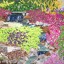 96th St Garden Center