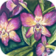 Purple Orchids