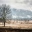 Winter scene landscape