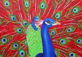 peacock