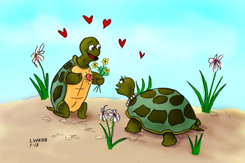 Turtle Love