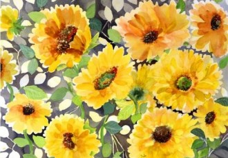 Girasol
