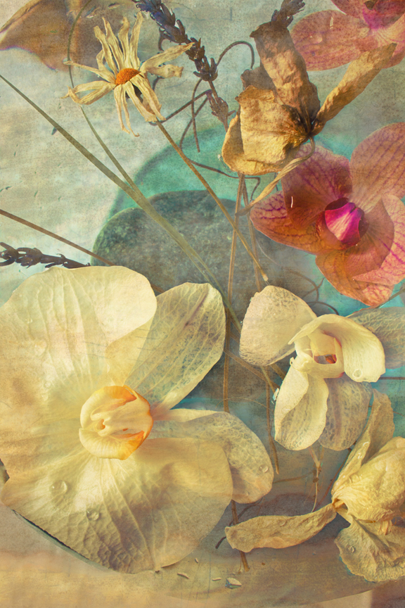 flower collage orchids