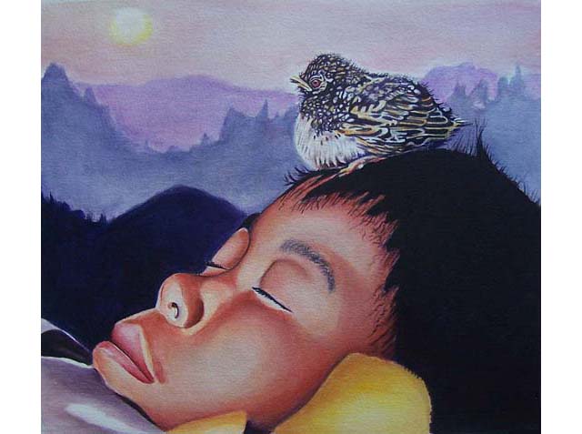 little boy sleeping with bird