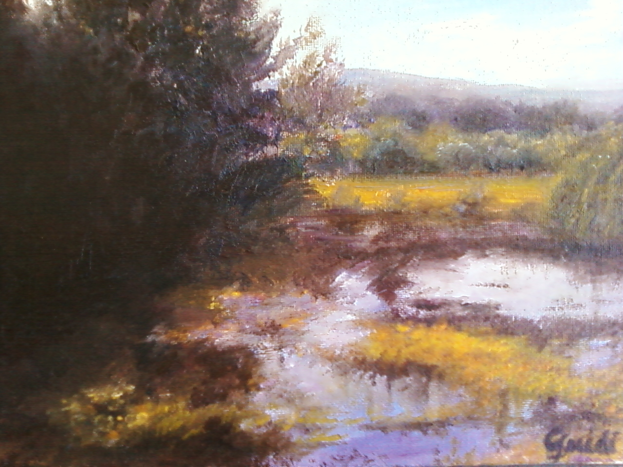 wetlands