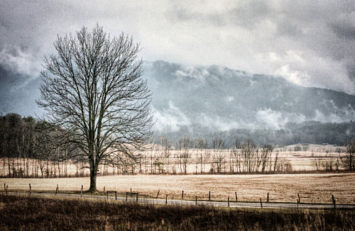 Landscape photo by Todd McPhetridge