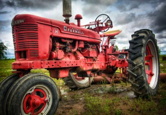 The Ox - tractor photo