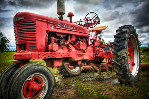 The Ox - tractor photo