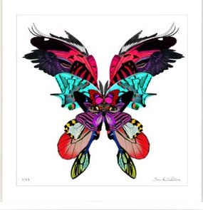 butterfly art