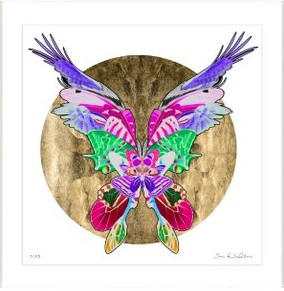 Butterfly image with gold foil