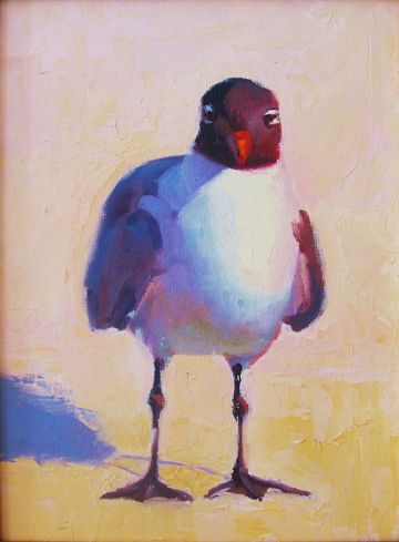 Seagull painting "Palm Beach Resident" by Manon Sander