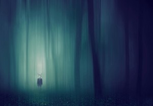 Boy in forest