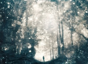 lonely person in the woods