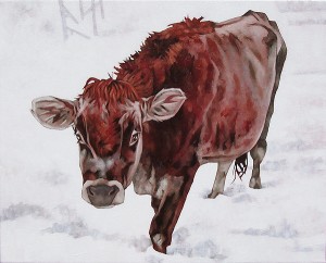 Cow in the snow
