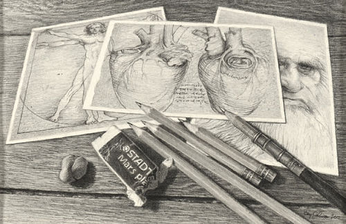 DaVinci drawings