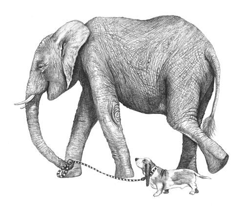 elephant and dog illustration