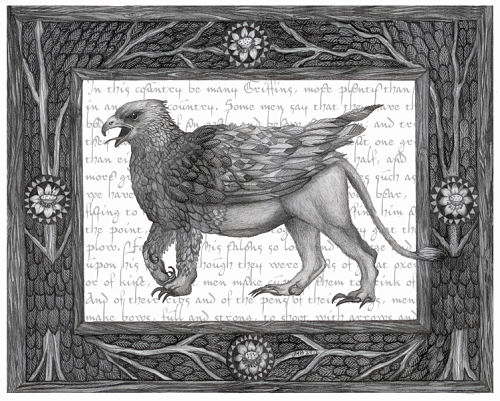 "Griffin" an illustration for a children's fairytale by Jessica Boehman