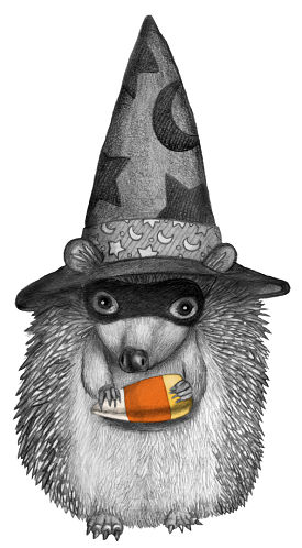 Illustration of a hedgehog by children's artist Jessica Boehman