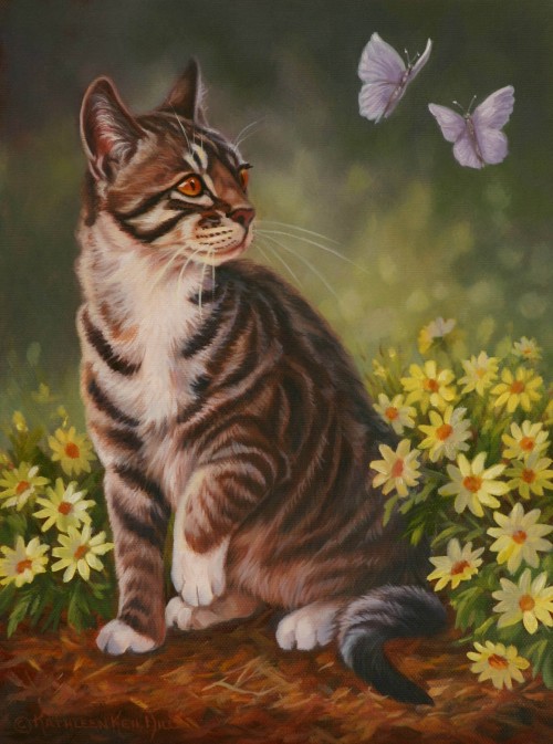 cat with butterfly