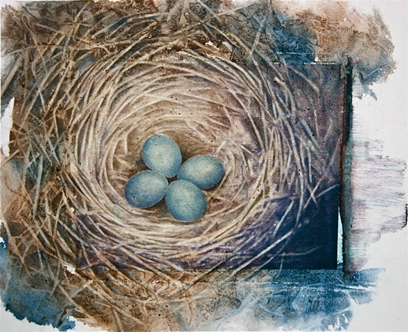 nest