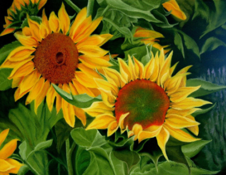 Sunflowers