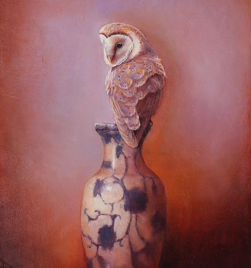 owl