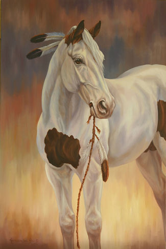 Pinto Indian horse