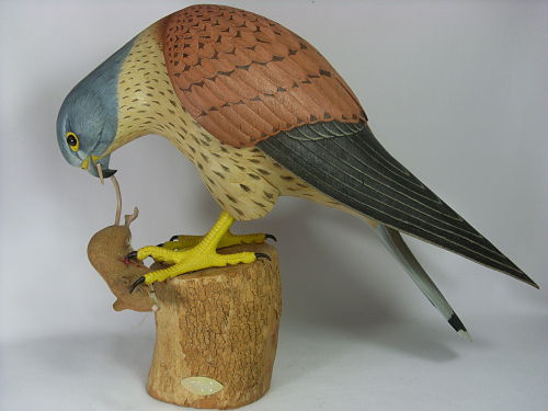 kestrel