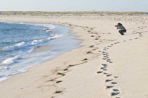 photographer on beach