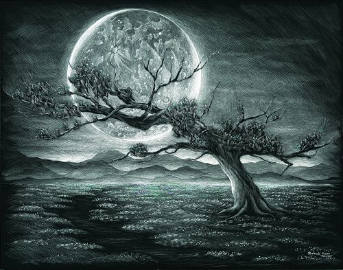 moonlight, tree in the moonlight, scratchboard