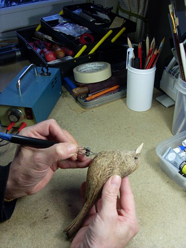 carving a bird