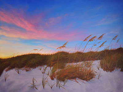 beach dunes