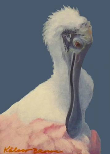 "Roseate Spoonbill" by artist Kalaco Brown