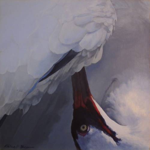 "Whooping Crane 4, Preening" by artist Kalaco Brown