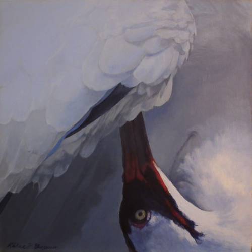 "Whooping Crane 4, Preening" by artist Kalaco Brown