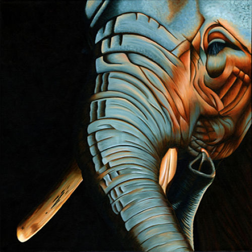 Elephant portrait "Midnight Savanna" by artist Alicia Wishart