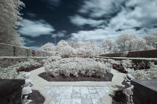 Wonderland Garden