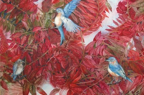 Bluebirds Love Sumac