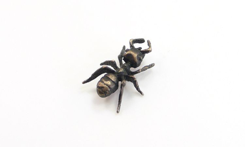 Carpenter Ant - HEXAPODA - Lapel Pin or Pendant, Lost wax, Bronze, 3-1/4" x 2-1/2"