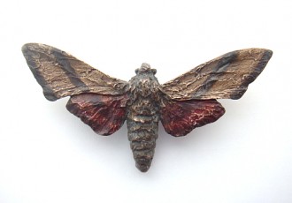 Sphinx Moth