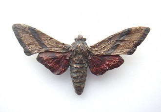 Sphinx Moth