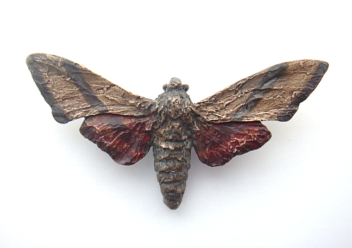 Sphinx Moth