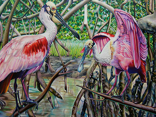 Spoonbills