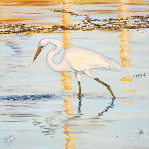 White Heron in Belize