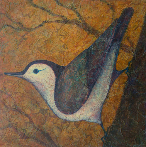 Nuthatch