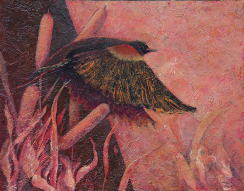Redwinged Blackbird I