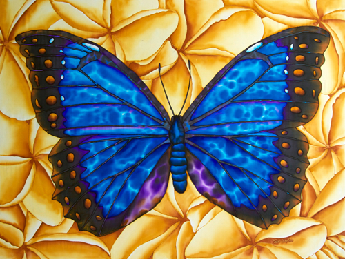 Blue Morpho & Frangipani