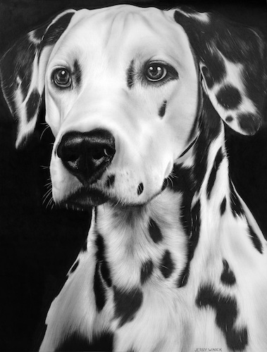 Dalmatian