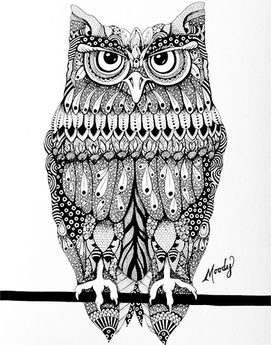 Owl