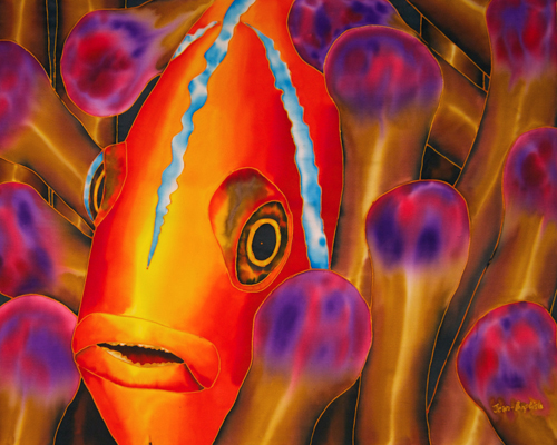 Paradise Clownfish